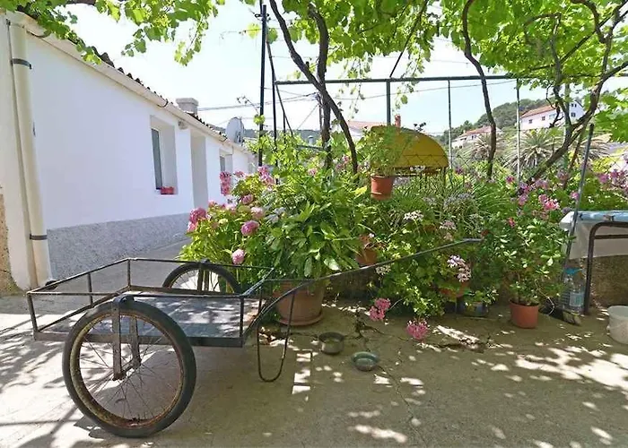 Appartamento In 33612 *